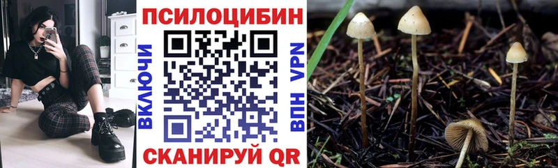 Купить закладки  Усть-Лабинск  Псилоцибиновые грибы мицелий 